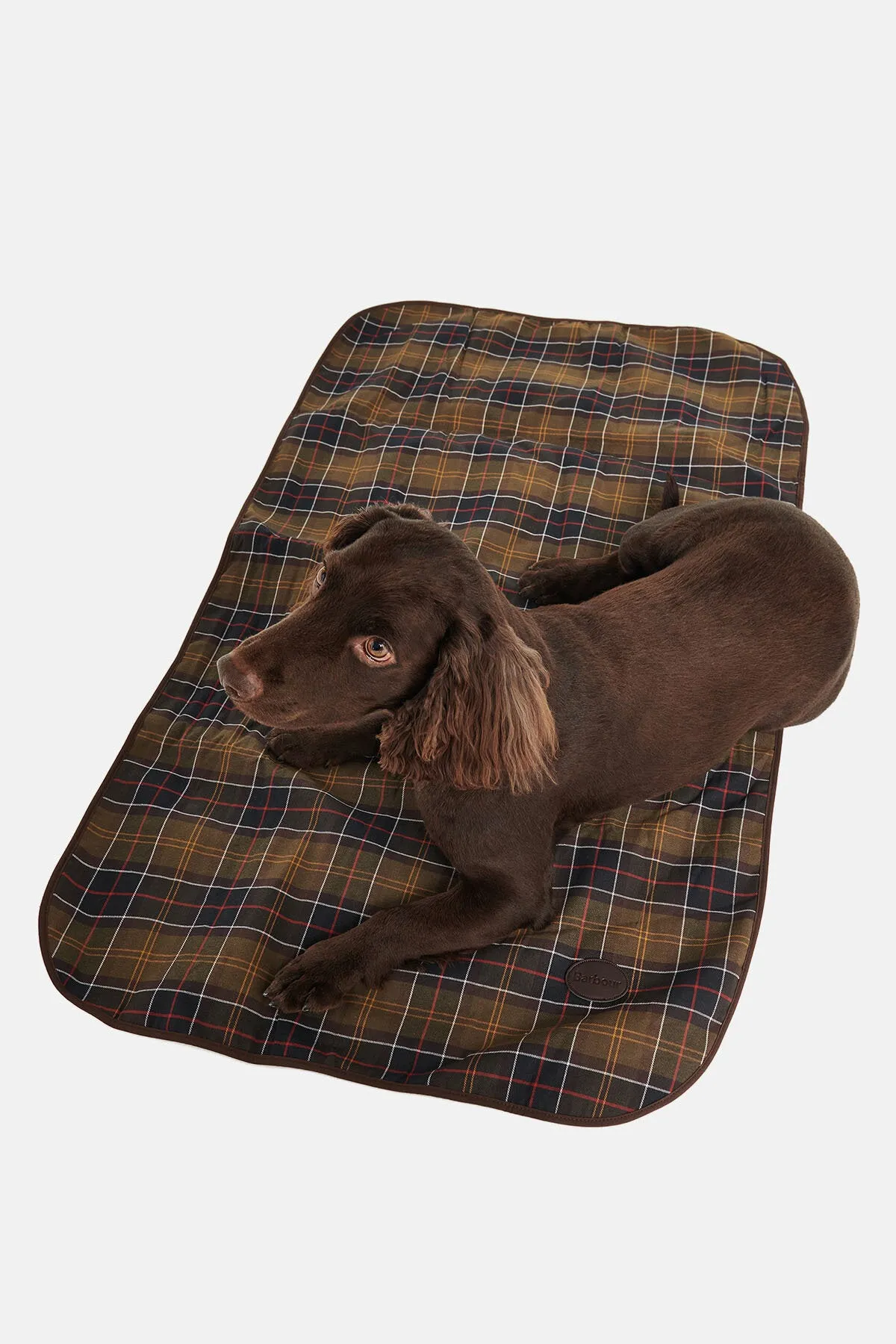 Barbour Medium Dog Blanket