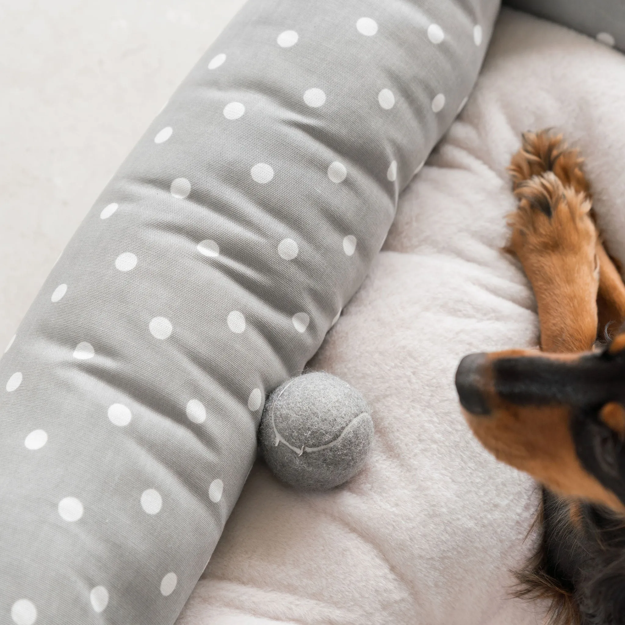 Box Bed in Grey Spot by Lords & Labradors