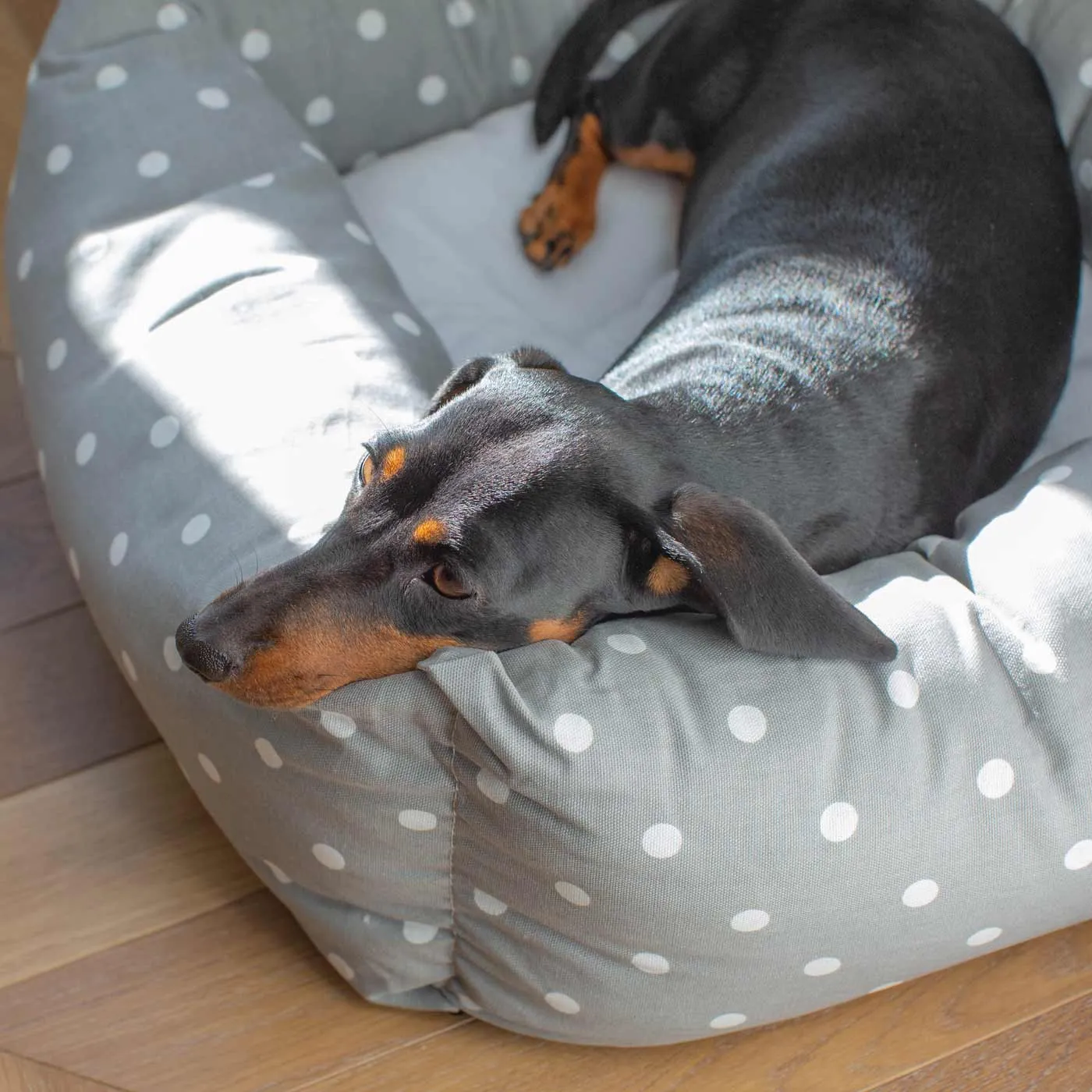 Box Bed in Grey Spot by Lords & Labradors