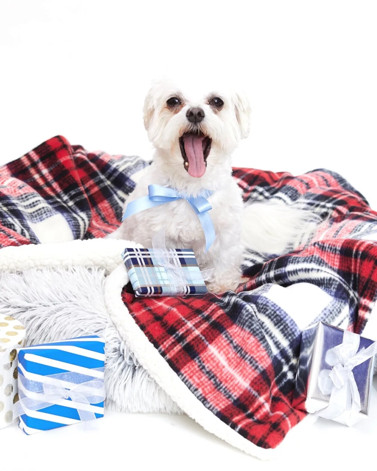 Good Pup Gone Plaid | Pet Blanket