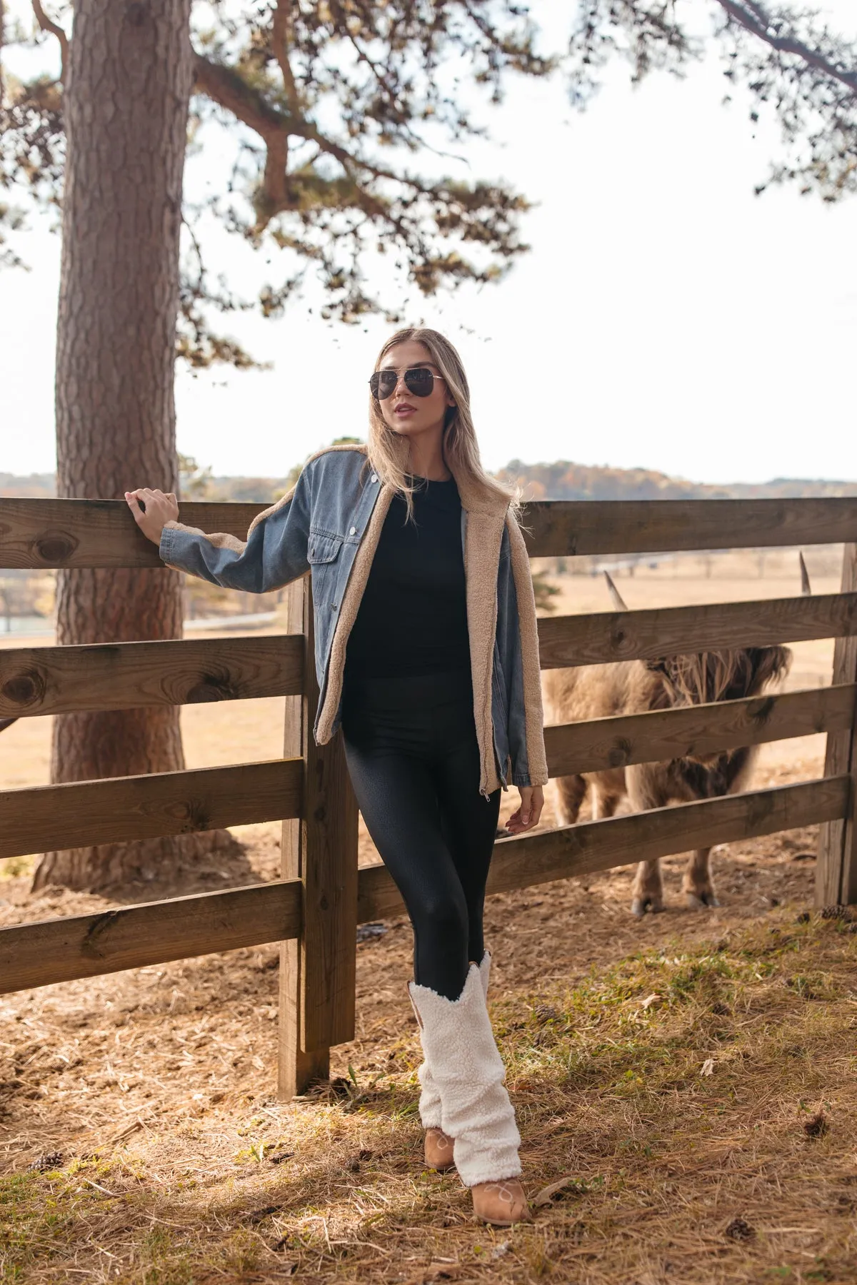 Melina Denim & Sherpa Jacket